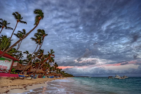 Palmiye ağaçları ve kumlu plaj — Stok fotoğraf
