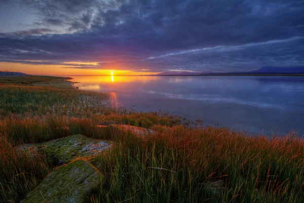 Mossy rotsen onder moerassig gras — Stockfoto