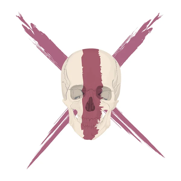 Huesos del cráneo humano esqueleto muerto — Vector de stock