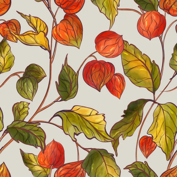 Φθινοπωρινό φύσημα φυτά φως, Ripe physalis θάμνος αδιάλειπτη μοτίβο. Redberries αγρόκτημα φόντο πτώση σχεδιασμό, φθινοπωρινό κινέζικο φανάρι ανθοφορία — Φωτογραφία Αρχείου