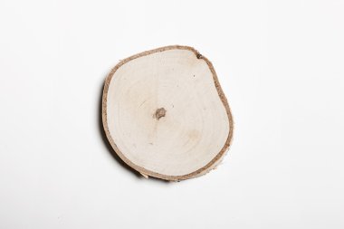 Bir huş ağacı ahşap blok (parça, bit, parça) yakından