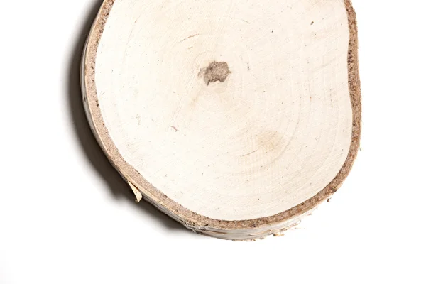 Un blocco di legno di betulla (pezzo, bit, frammento) da vicino — Foto Stock
