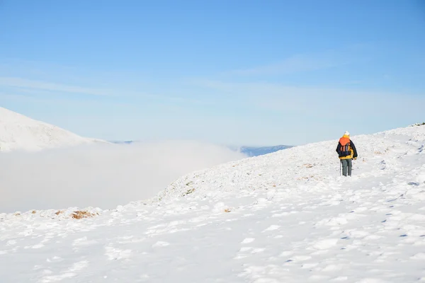 Klimmer lopen op besneeuwde bergen — Stockfoto