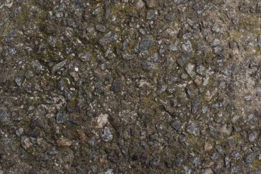 Yosun ve küçük taşlarla arka plan dokusu ile kaba beton zemin