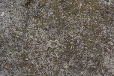 Yosun ve küçük taşlarla arka plan dokusu ile kaba beton zemin