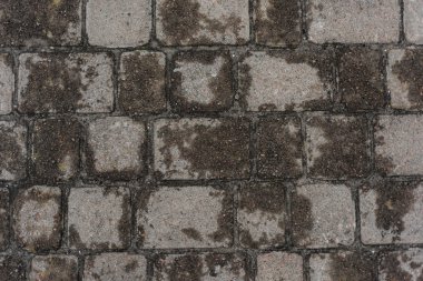 Islak kaldırım arka plan dokusu