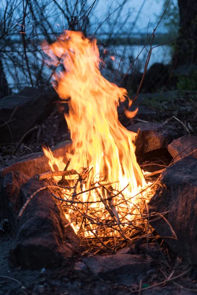Bonfire in the wood with lake