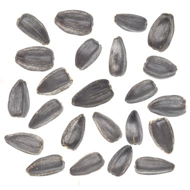 Beyaz arkaplanda ayçiçeği tohumları