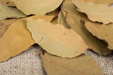 Kuru defne yaprağı