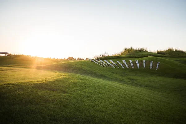 Golfbana med krage i solnedgången — Stockfoto