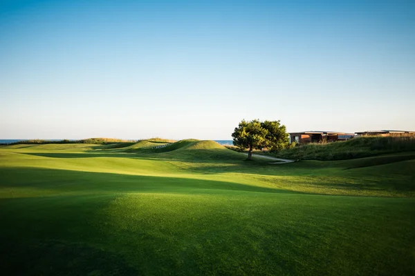 Golfbana med gröna träd vid solnedgången — Stockfoto