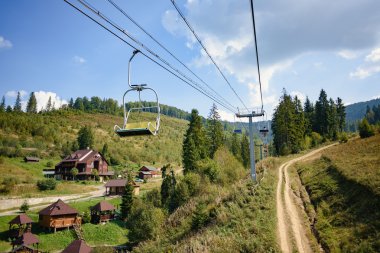 Karpatlar yeşil çam ağaçları ile yaz aylarında kaldırın.