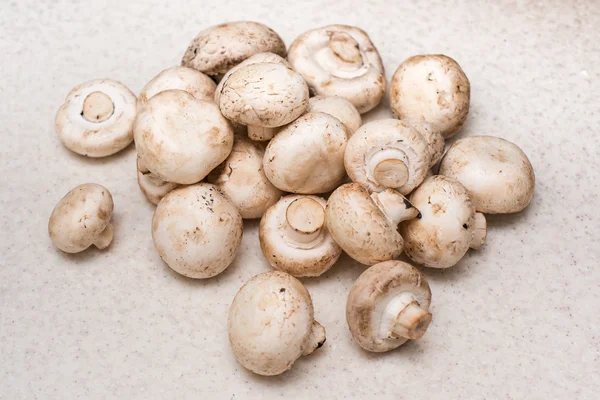 Groep van champignons op tafel — Stockfoto