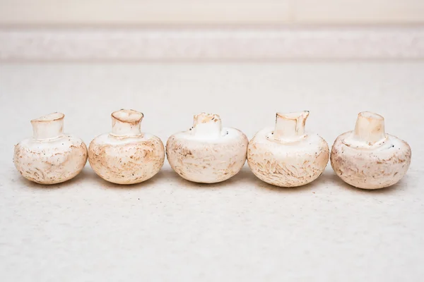 Groep van champignons op tafel — Stockfoto