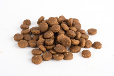 Beyaz izole kuru kedi ya da köpek gıda