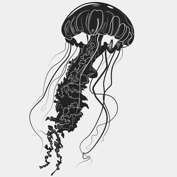 Medusas dibujadas a mano aisladas sobre un fondo claro. Ilustración vectorial. Esbozo de tatuaje. Colección de mar . — Vector de stock