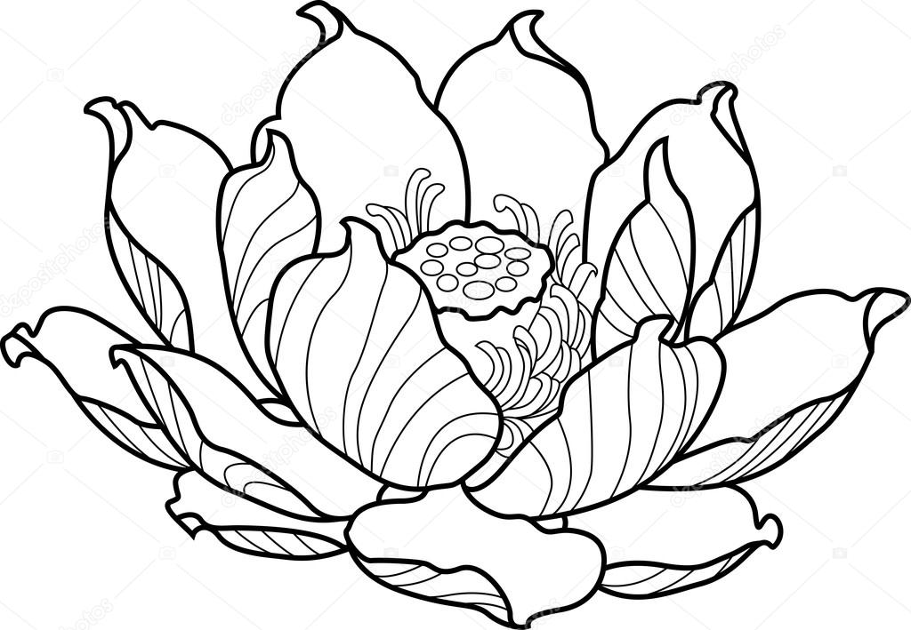 Free Free 103 Lotus Flower Outline Svg SVG PNG EPS DXF File