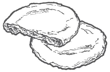 Vektör yulaf kurabiye