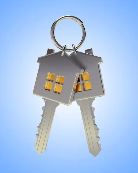 Um monte de duas chaves prateadas em forma de casa num porta-chaves — Fotografia de Stock