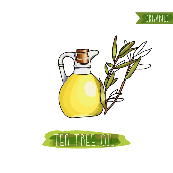 Uma garrafa de óleo de Tea Tree e soja feijão pintado em estilo aquarela. Produtos orgânicos. —  Vetores de Stock