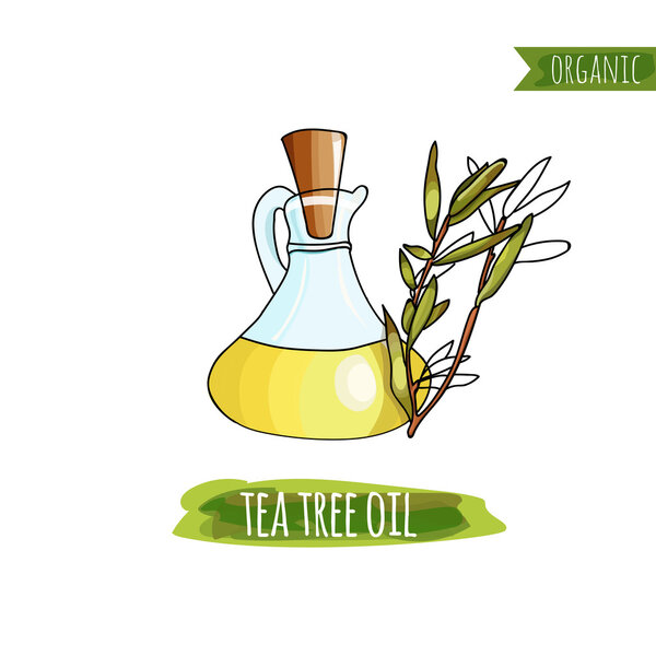 Bottle of  Tea Tree Oil and  painted in watercolor style. Organics. 