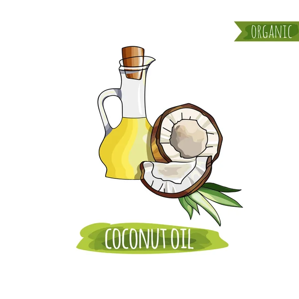 Aceite de coco pintado en estilo acuarela. Boceto. Productos orgánicos . — Archivo Imágenes Vectoriales