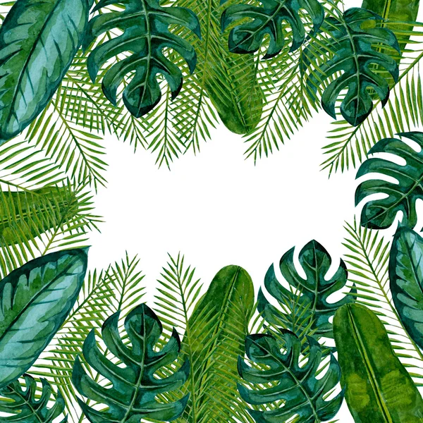 Güzel tropikal arka plan ile farklı palmiye yaprakları. Orman. Bu yaz arka plan olarak kullanılabilir. Suluboya resim. İllüstrasyon.