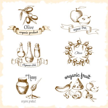 Organik ürünler için vintage çizimler seti. Zeytin, bal, meyve, bitkisel yağlar için çıkartmalar. Elin grafik stilinde çizilen çizim. Vektör.