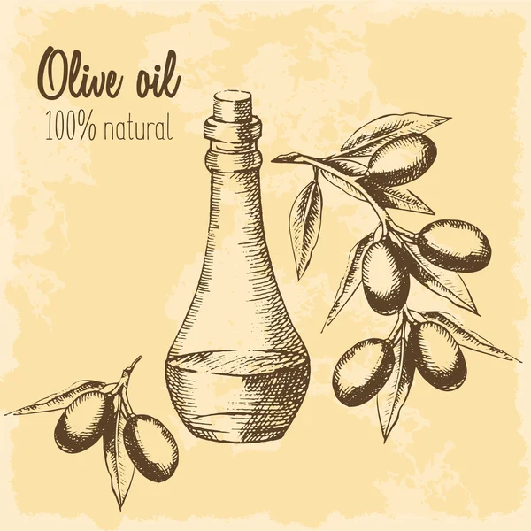 Una botella de aceite de oliva y una rama con aceitunas pintadas a mano sobre el fondo vintage. 100% natural. Dibujo de bocetos en un estilo gráfico. Ilustración vectorial . — Archivo Imágenes Vectoriales