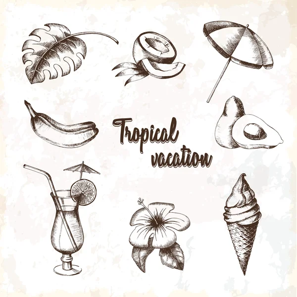 Set of objects for a tropical vacation. Summer fruit, cocktail, ice cream, tropical flower, palm leaf, parasol painted in graphic style. Sketch freehand drawing. Vector illustration — Stock Vector