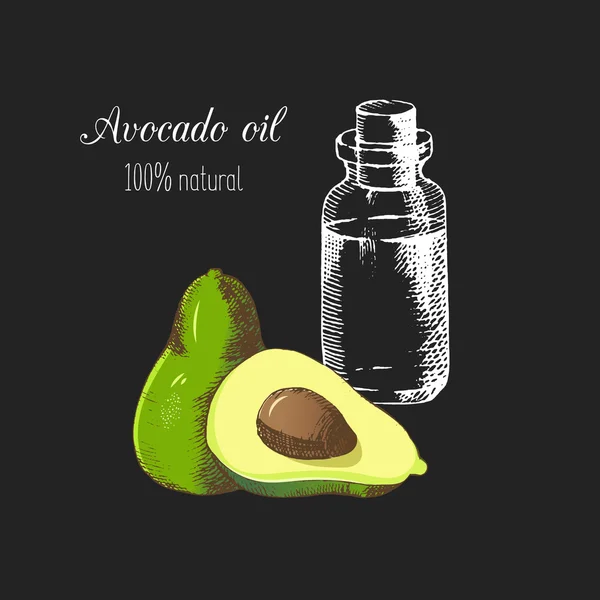 Косметическое масло авокадо в графическом стиле, написанное вручную. Уход за телом — стоковый вектор