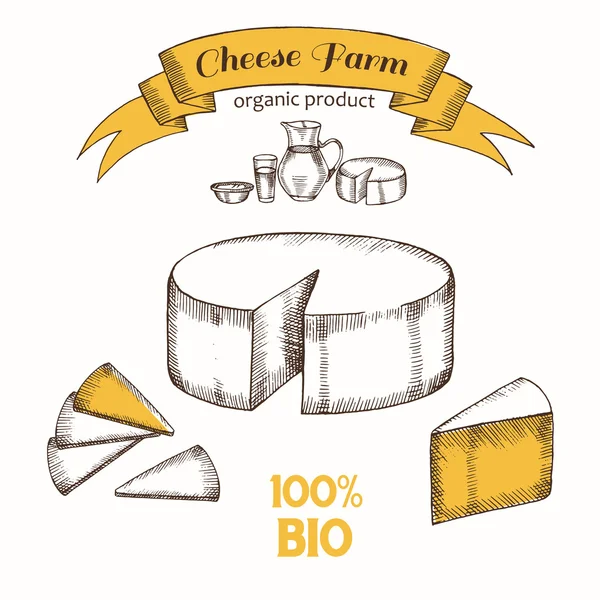 Set di formaggi in stile grafico. Disegno a mano, schizzo. Il prodotto biologico — Vettoriale Stock