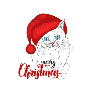 Şapkalı ve el yapımı bir taşıyıcı kedi. Giyinik kedinin el çizimi. Kış zamanı