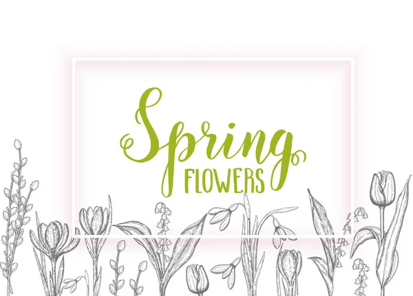 Cartão Primavera Com Flores Lírios Desenhados Mão Vale Tulipa Salgueiro — Vetor de Stock