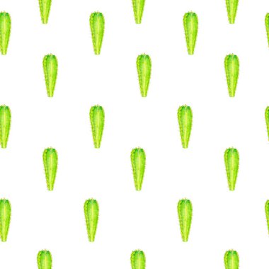 Renkli kalem raster desen beyaz arka planlı kaktüs. Doğa süsleme. elle çizilmiş kaktüs ile Seamless Modeli.