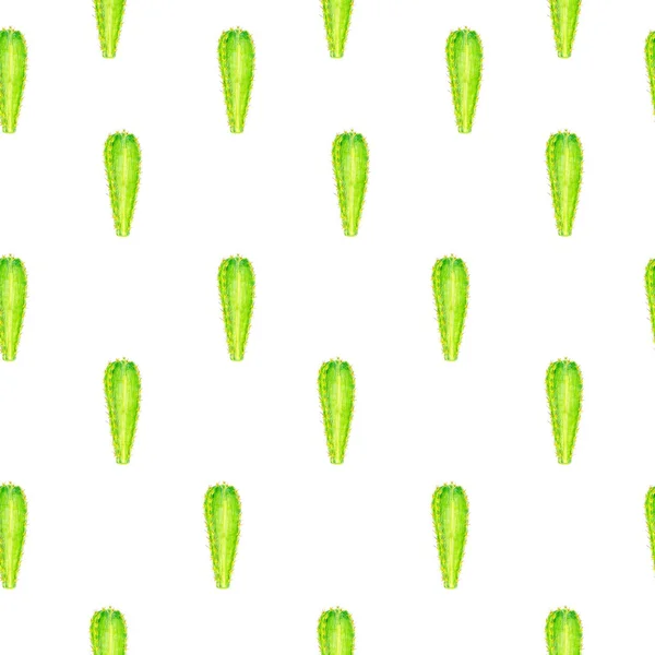 Renkli kalem raster desen beyaz arka planlı kaktüs. Doğa süsleme. elle çizilmiş kaktüs ile Seamless Modeli.