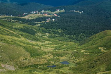 Güzel Karpat Dağları, yol, tepeler, orman, Ukrayna