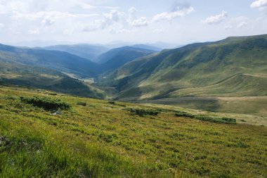 Güzel Karpat Dağları, yol, tepeler, orman, Ukrayna