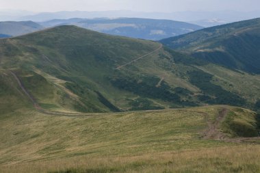 Güzel Karpat Dağları, yol, tepeler, orman, Ukrayna