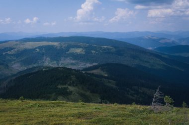 Güzel Karpat Dağları, yol, tepeler, orman, Ukrayna