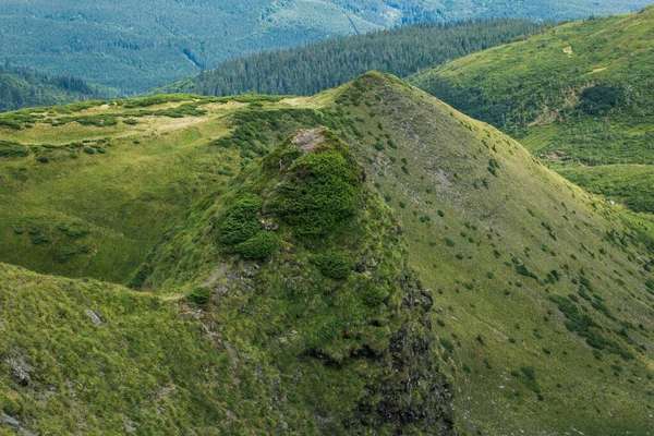 Güzel Karpat Dağları, yol, tepeler, orman, Ukrayna