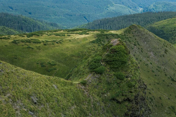 Güzel Karpat Dağları, yol, tepeler, orman, Ukrayna