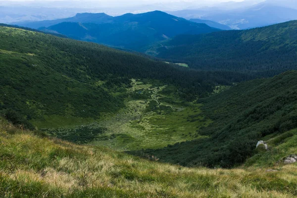 Güzel Karpat Dağları, yol, tepeler, orman, Ukrayna