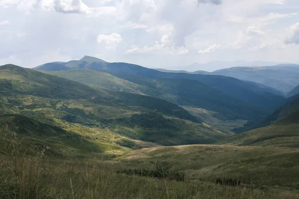 Güzel Karpat Dağları, yol, tepeler, orman, Ukrayna