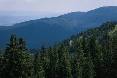 Güzel Karpat Dağları, yol, tepeler, orman, Ukrayna