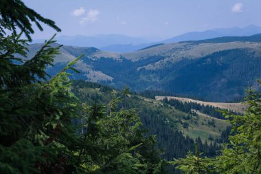 Güzel Karpat Dağları, yol, tepeler, orman, Ukrayna