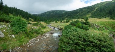 Güzel Karpat Dağları, yol, tepeler, orman, Ukrayna