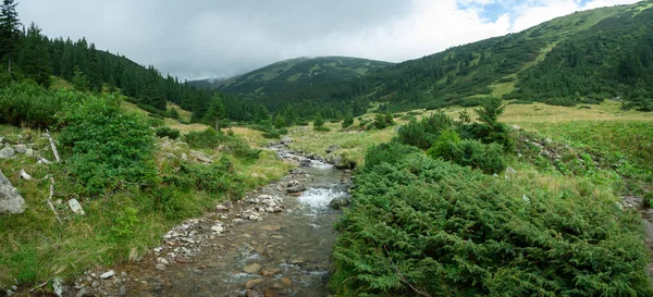Güzel Karpat Dağları, yol, tepeler, orman, Ukrayna