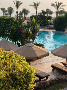 Berrak mavi su, güneşlenmeler ve ılık bir gökyüzü altında yemyeşil bir tatil sahnesi.