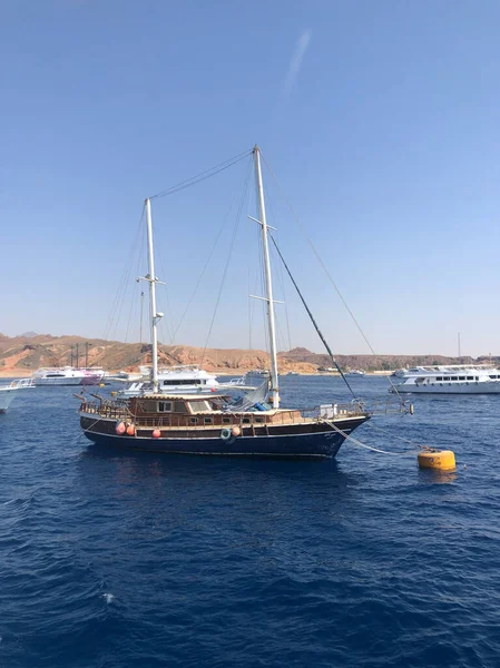 İki direkli klasik bir ahşap yelkenli, sakin bir denize demirlemiş, diğer gemiler ve kurak tepeler parlak bir gökyüzünün altında görülebiliyor.